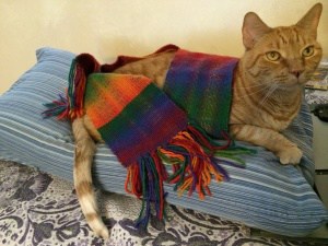 Tiger modeling the Double Rainbow Scarf